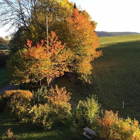 Ferienwohnung Im Hambach باد برلبورغ المظهر الخارجي الصورة
