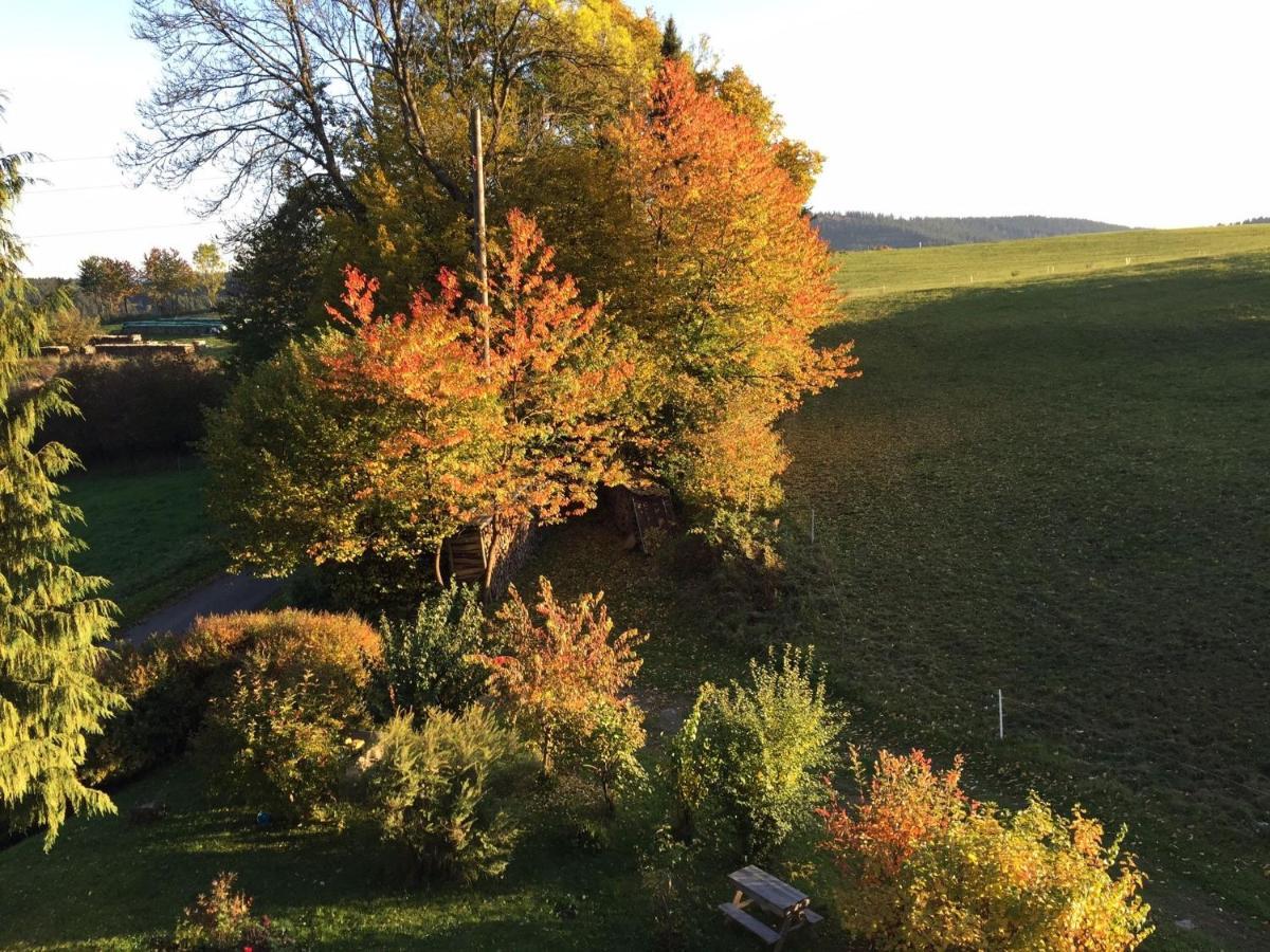 Ferienwohnung Im Hambach باد برلبورغ المظهر الخارجي الصورة
